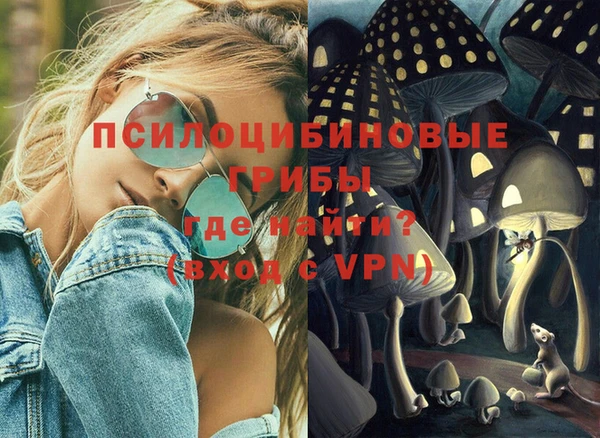 прущая мука Абаза