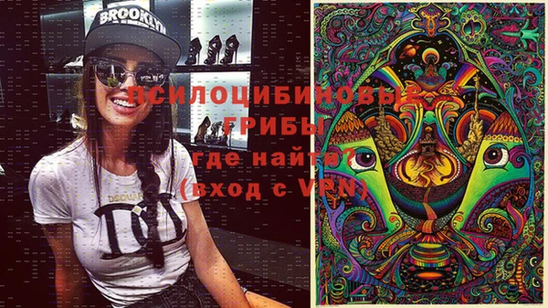 бошки Алзамай
