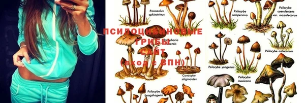 мескалин Арсеньев