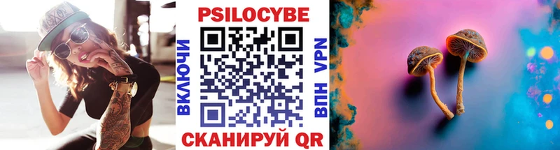 shop клад  Удомля  Галлюциногенные грибы мицелий  мега ссылки 