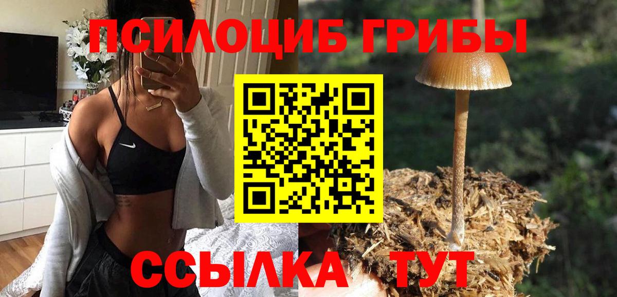 Галлюциногенные грибы MAGIC MUSHROOMS Удомля